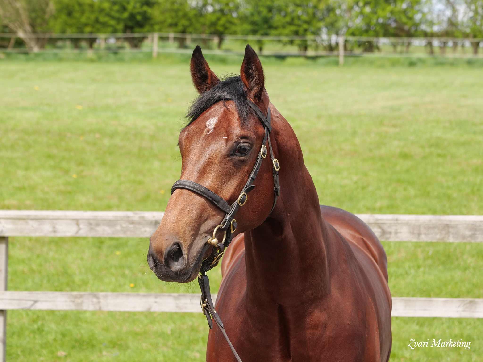 Purchaser Pam Sly Price £ 25,000